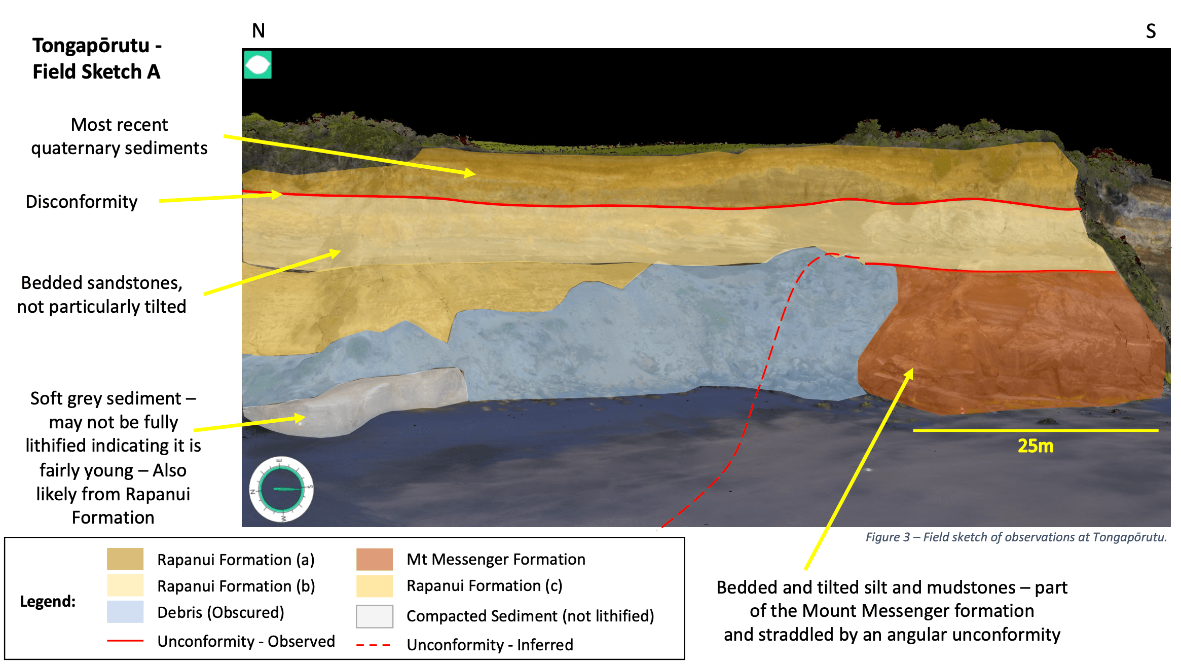 University of Auckland Logo